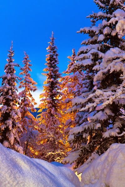 Desktop Backgrounds 4U: Winter Scenes