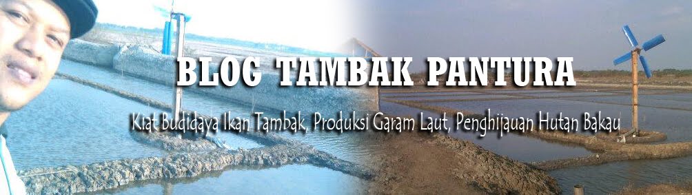 TAMBAK BLOG | Budidaya Ikan Tambak, Produksi Garam Tambak, Pelestarian Hutan Bakau / Mangruve