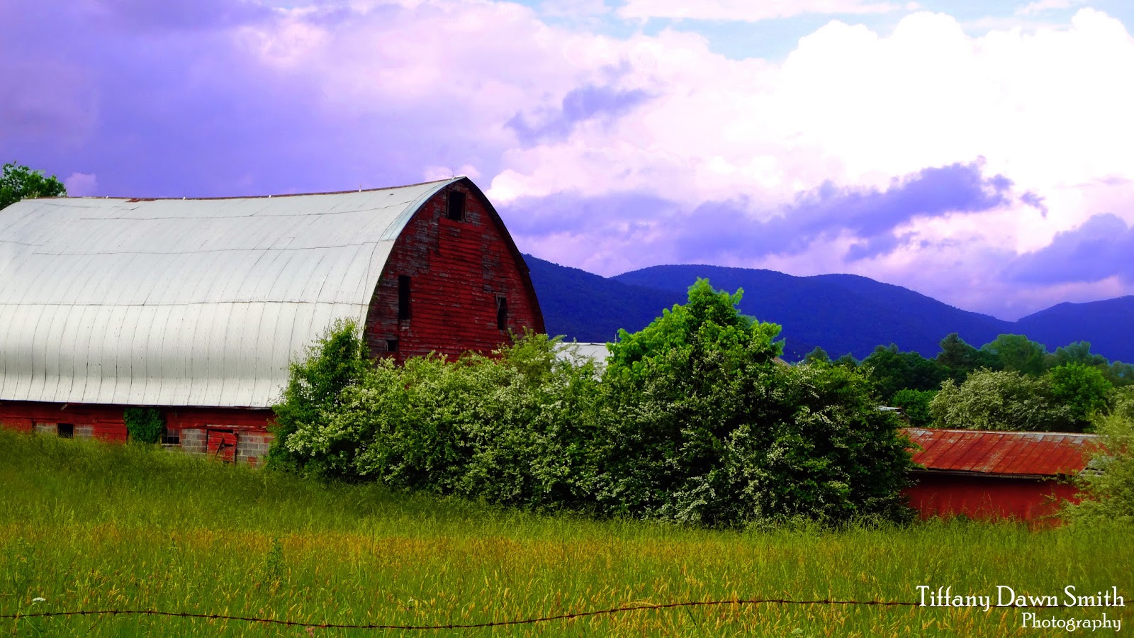Tiffany Dawn Smith, Photographer Farm in Wartburg, TN June 2013