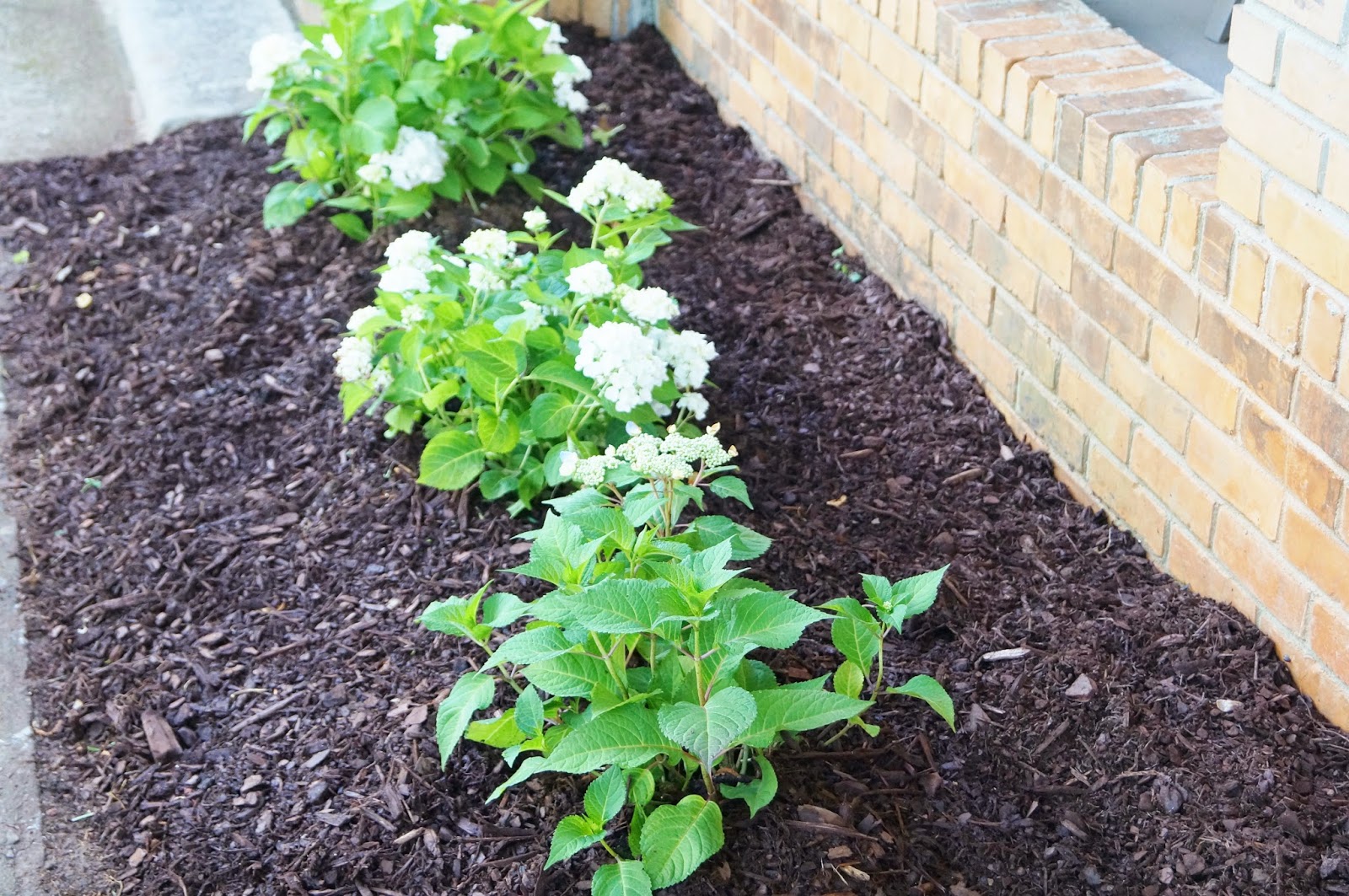 Don't Disturb This Groove Cleaning Out the Flower Bed