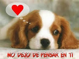 tarjetas de amor para descargar tarjetas de amor para descargar