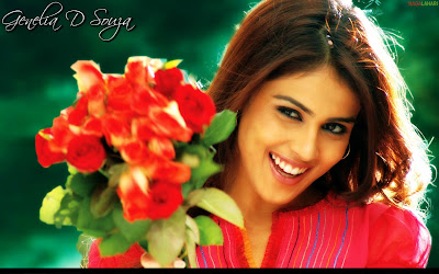 Genelia D'souza Genelia D'souza Bollywood Chic
