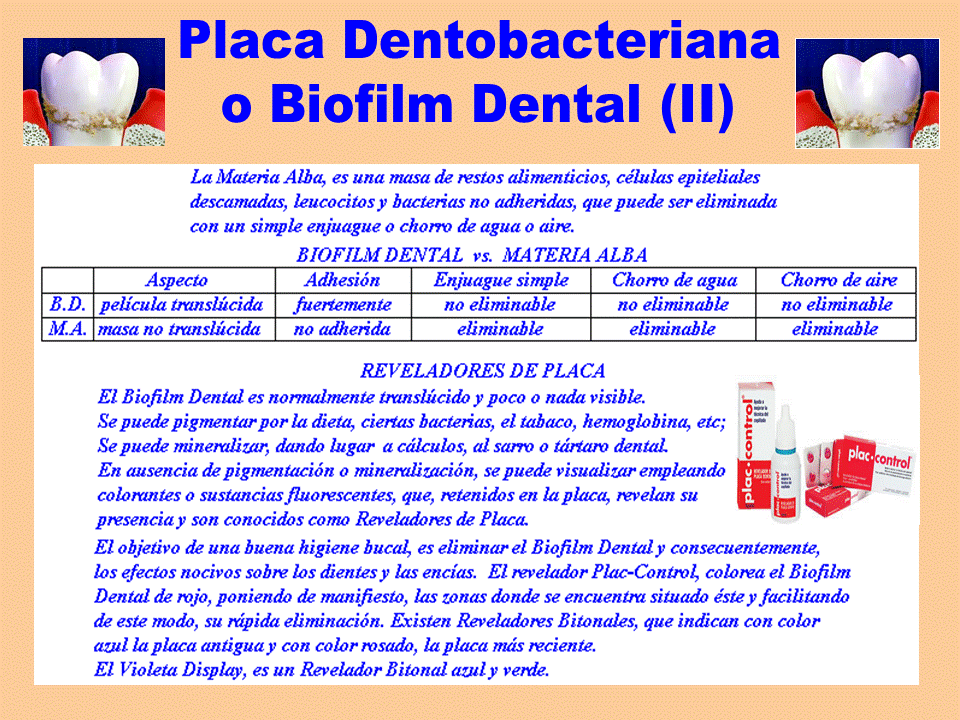 M13 BIOFILM DENTAL