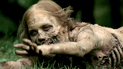 twd-bicyclegirl.gif