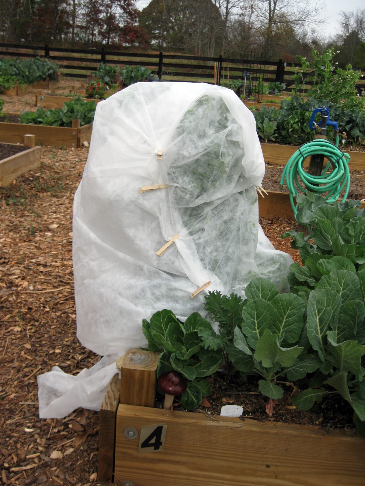 Green Meadows Community Garden Simplest Frost Blanket/Row Cover to use