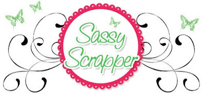 Sassy Scrapper