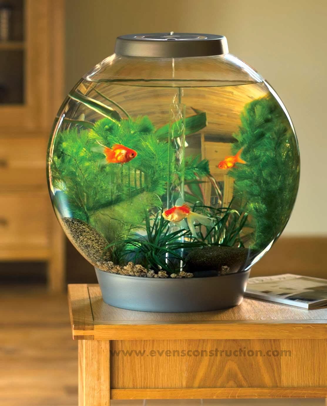 Evens Construction Pvt Ltd Aquarium Designs