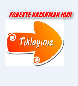 Forex robot kurulumu