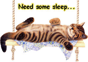 Gambar DP BBM Tidur Animasi Bergerak Kucing Tidur Lucu 
