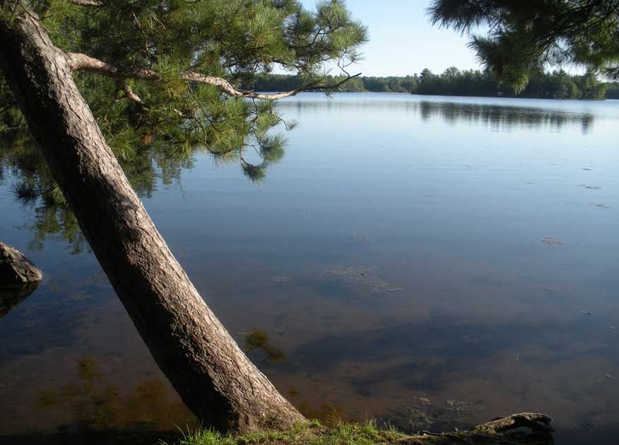 Taken For Granted Chute Pond