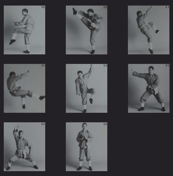 Shaolin Tong Bei Quan. Lo schema della forma • Kung Fu Life