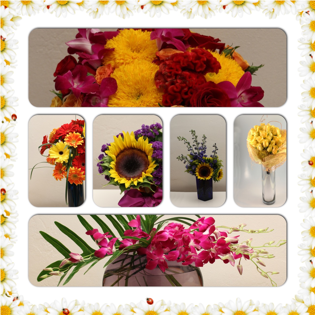 In his own domain. Sun entered Leo today