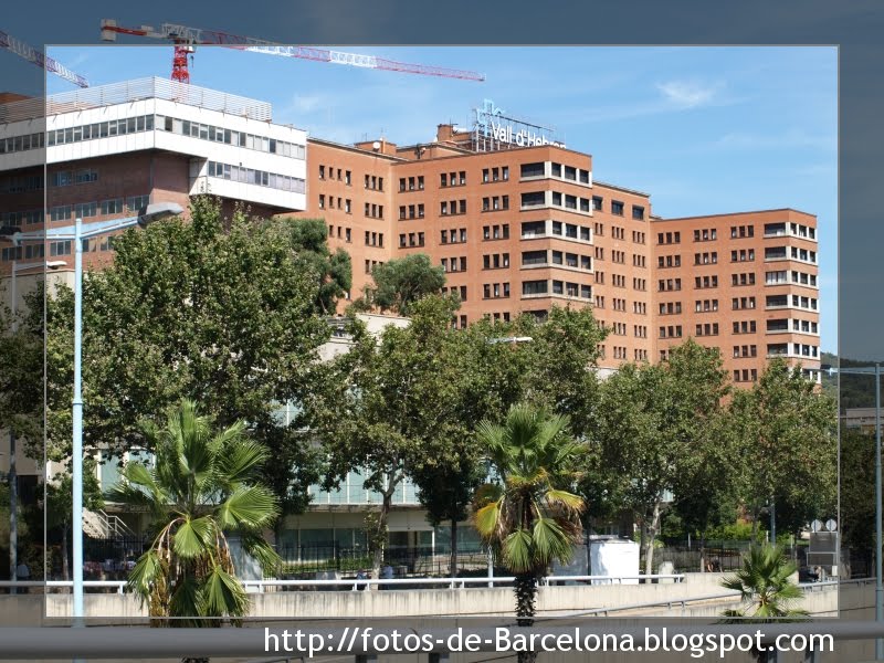 HOSPITAL VALLE HEBRON hospital valle hebron: