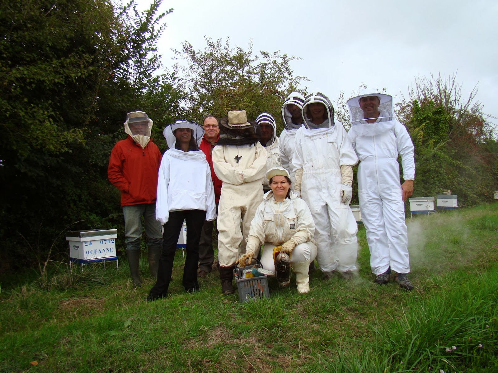l apiculture en france