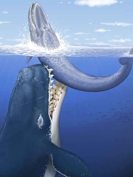Algunos de los animales más grandes que han existido jamás Leviathan