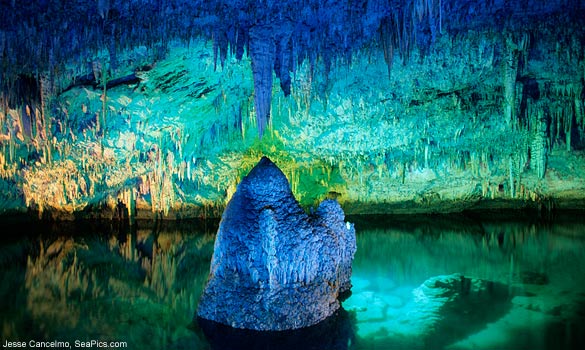 Crystal+Cave+of+Bermuda3.jpg