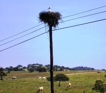 A palavra acolhedora - ALENTEJO