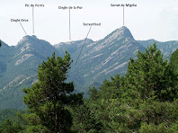 Vessant nord de la Serra de Picancel Vessant nord de la Serra de Picancel