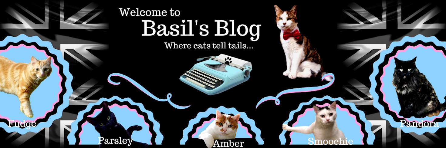Basil's Blog