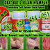 Obat Kutil Kelamin di Papua thumbnail