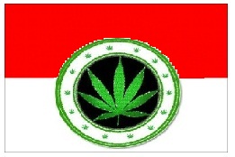 Indonesian Marijuana