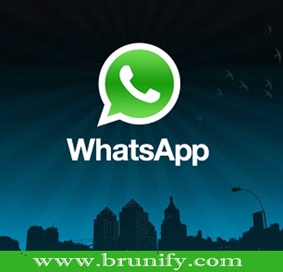 Whatsapp dapat dijalankan pada beberapa platform smartphone seperti Android, Symbian, IOS, Blackberry dan Windows Phone.