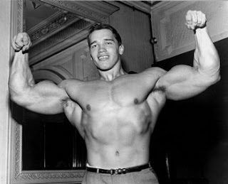 Arnold style workout Split