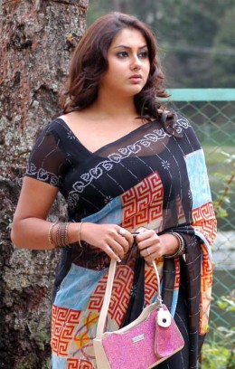 south indian actor namitha in saree showing navel pic