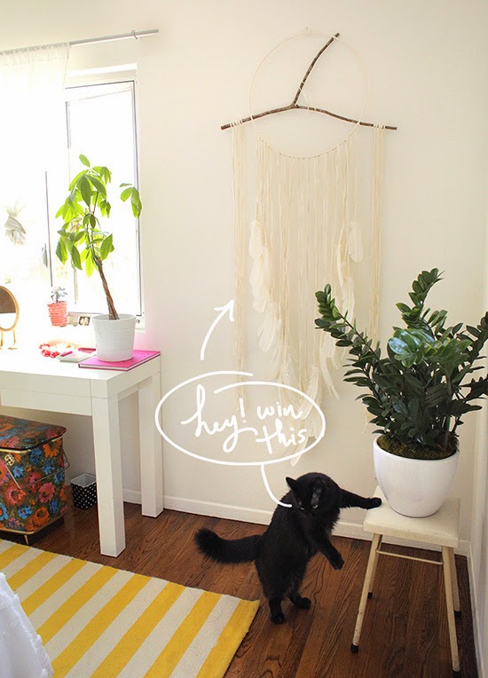 edie ever after TREND DREAMCATCHERS