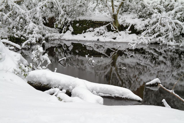 More Reflections in the Snow 