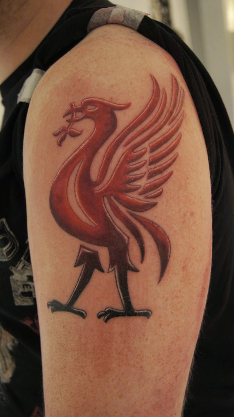 Download Liverpool Fc Tattoo Ideas Background