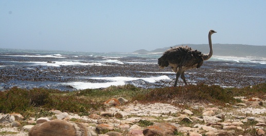 33 degrees south….