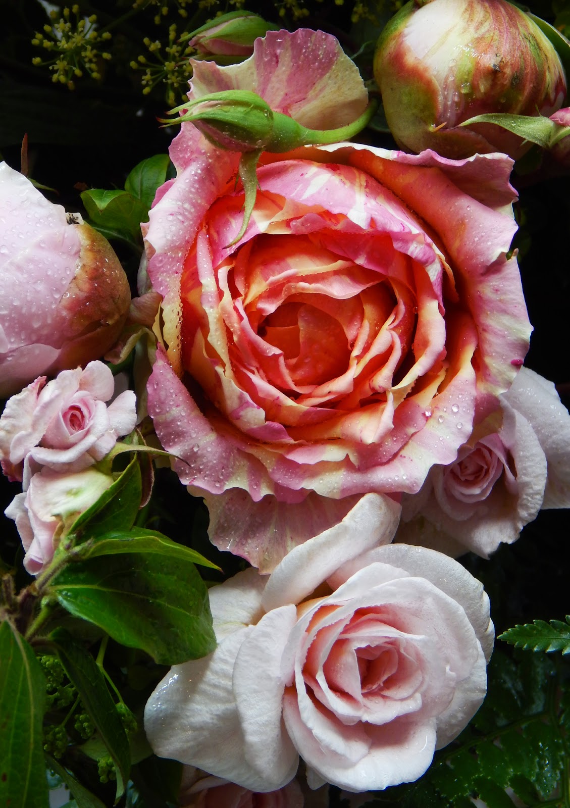 Ellen Giggenbach Flowers glorious Flowers!