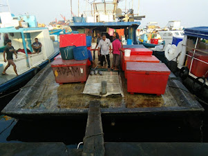 Fishing Trawler about to discharge its precious "TUNA FISH CARGO".