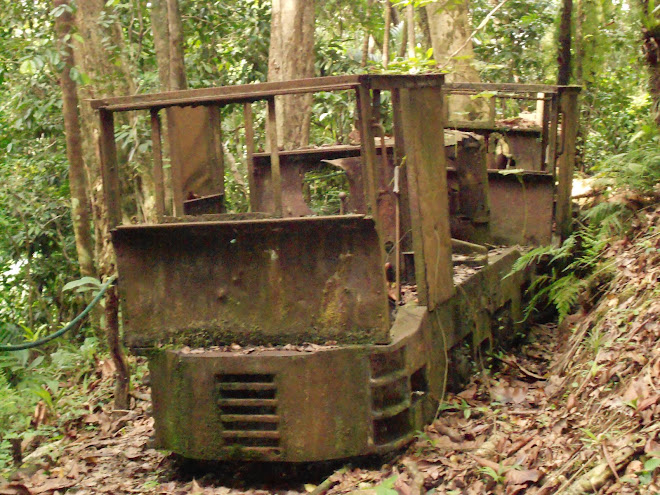 Two lost locos in the Palau jungle.