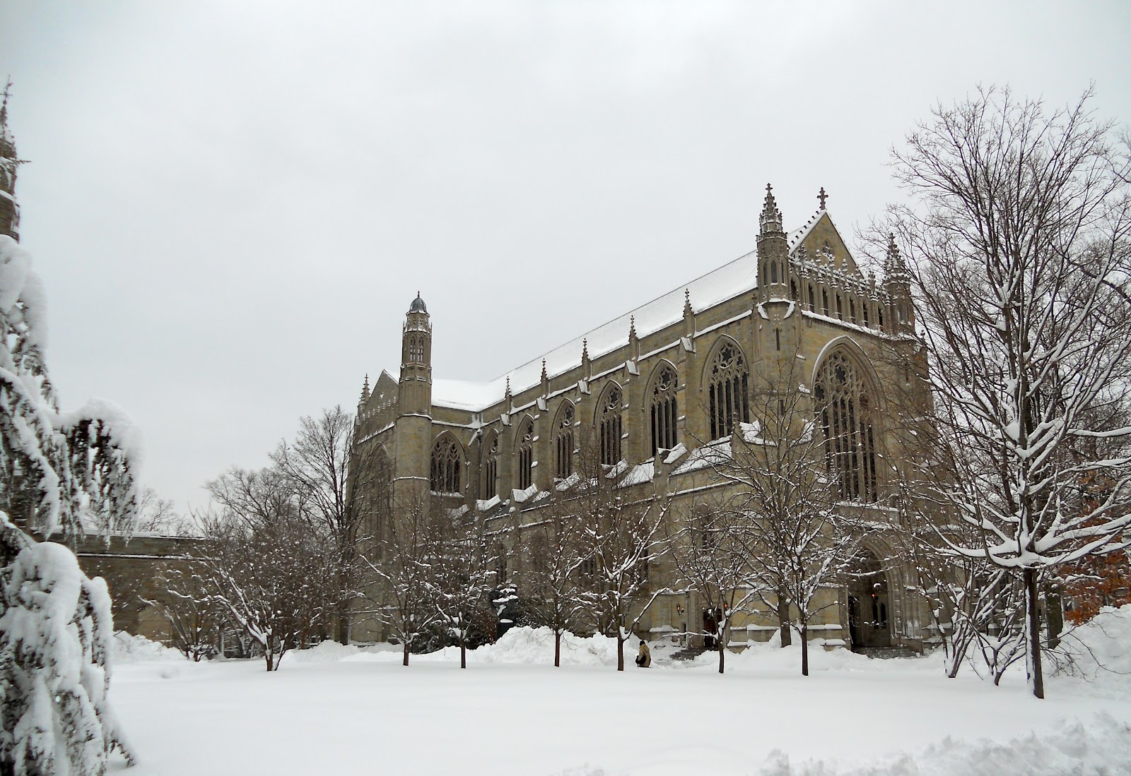 Nature Photography Princeton Winter 2011