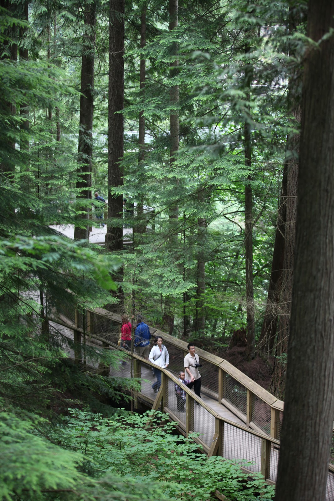 Mi Hotel Favorito Puentes Colgantes en Vancouver. "Capilano Suspension