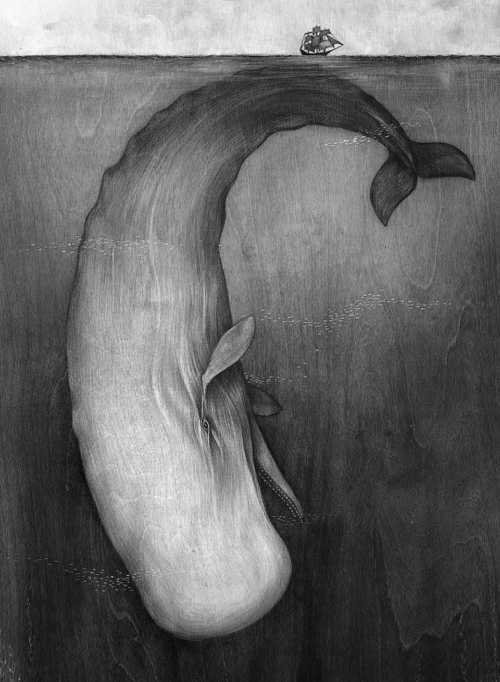 Valuable melville metaphysics moby dick Melville metaphysics moby dick were