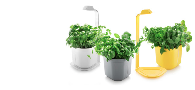 Mini potager Génie Tregen via Nat et nature