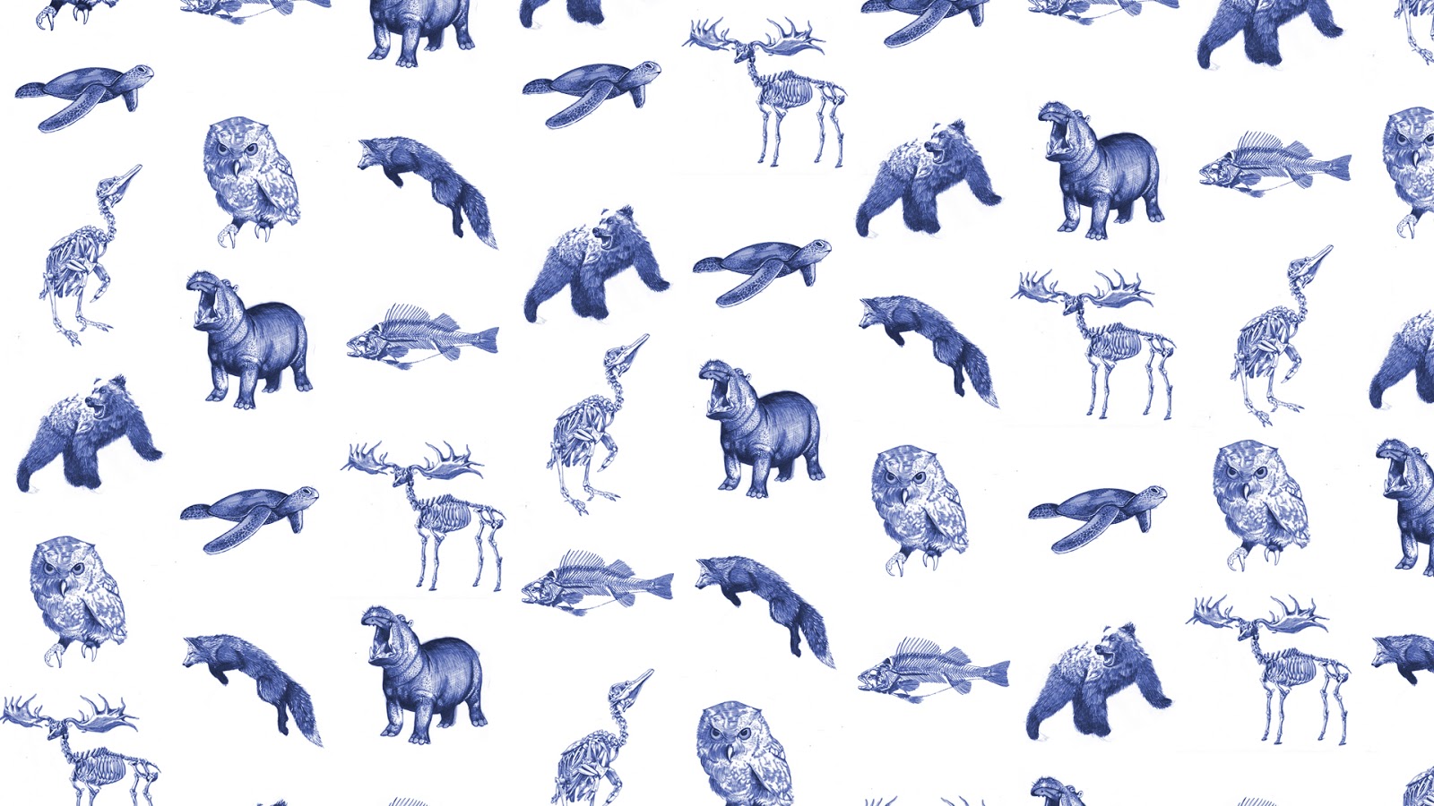 amber smith illustration background