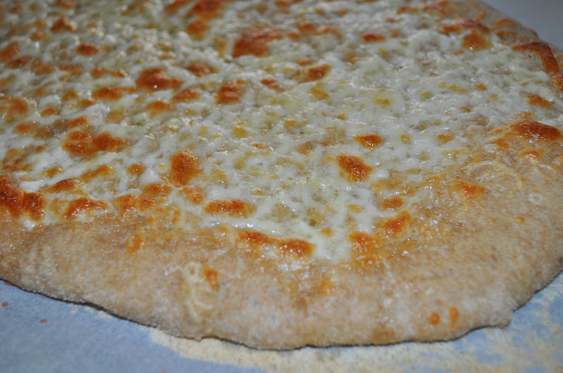 seeshellspace Artisan Pizza Dough