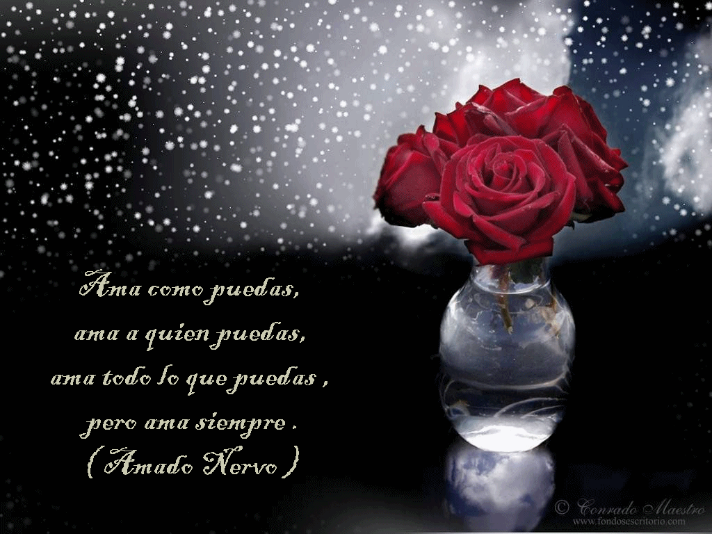 VERSOS DE AMOR CON MUSICA versos de amor con musica: