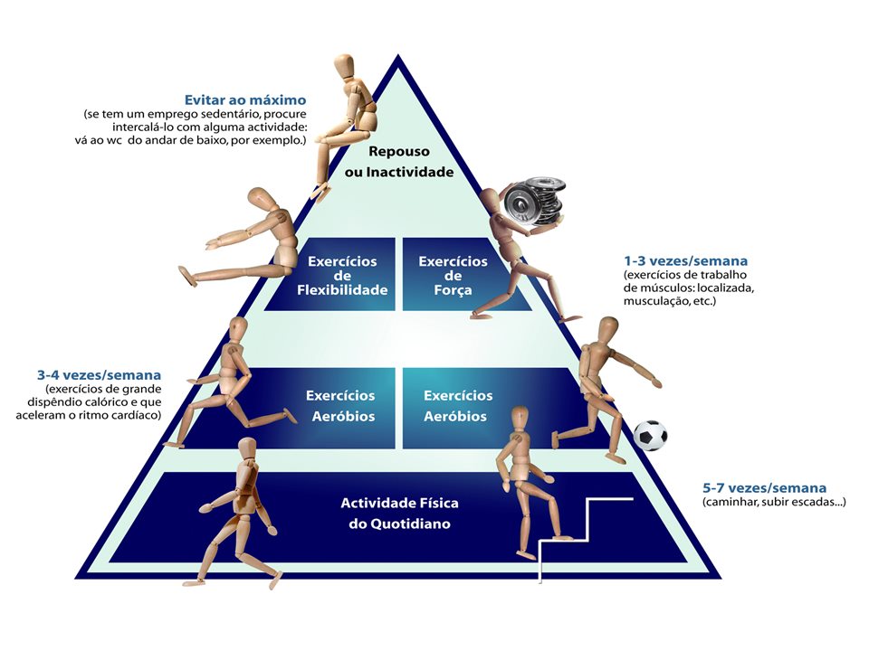 Artigo cientifico fisiologia do exercicio