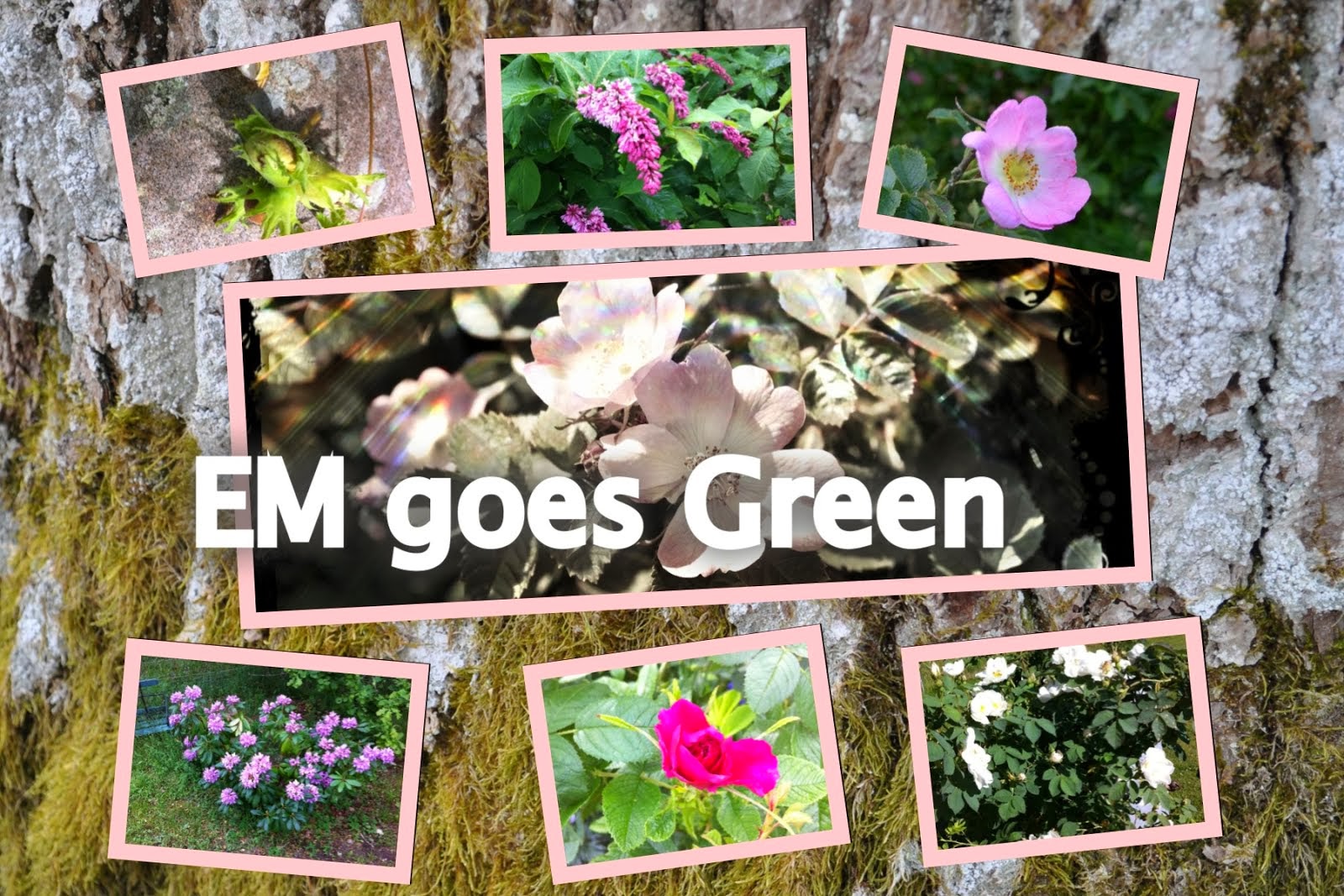 Em goes green: litet? men inte trångt