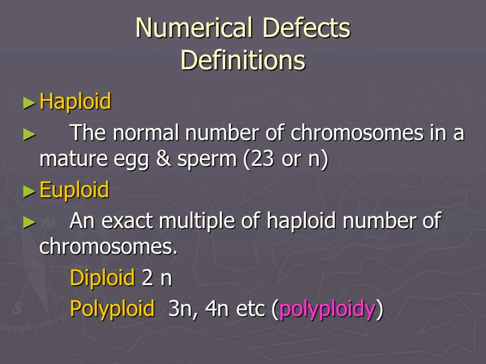 Slide 7