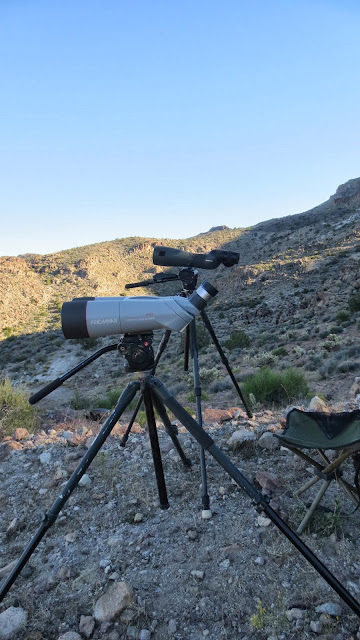 Arizona+Super+Raffle+Desert+Sheep+Tag+Scouting+With+Colburn+and+Scott+Outfitters+8.JPG