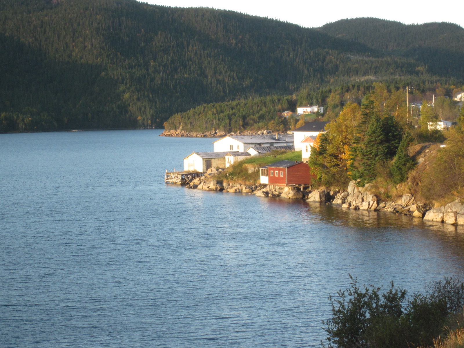 island sweet jackson's arm. the place.