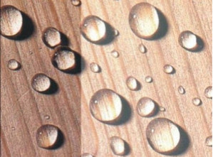 Водопоглощение древесины Водопоглощение древесины