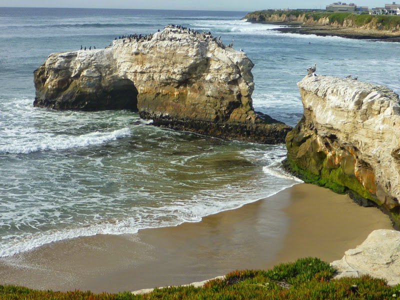 Natural Bridges State Beach, Santa Cruz, California