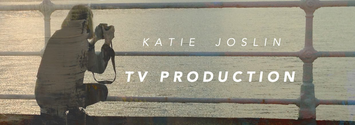 Katie Joslin TV Blog